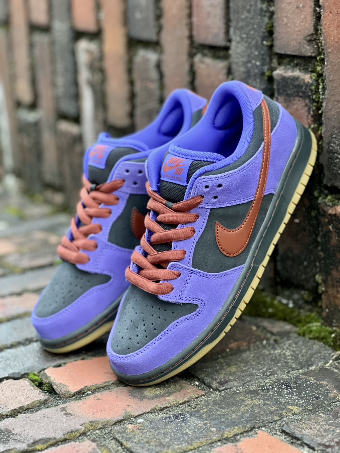SiiiCK | Nike SB Dunk Low Pro “Persian Violet”