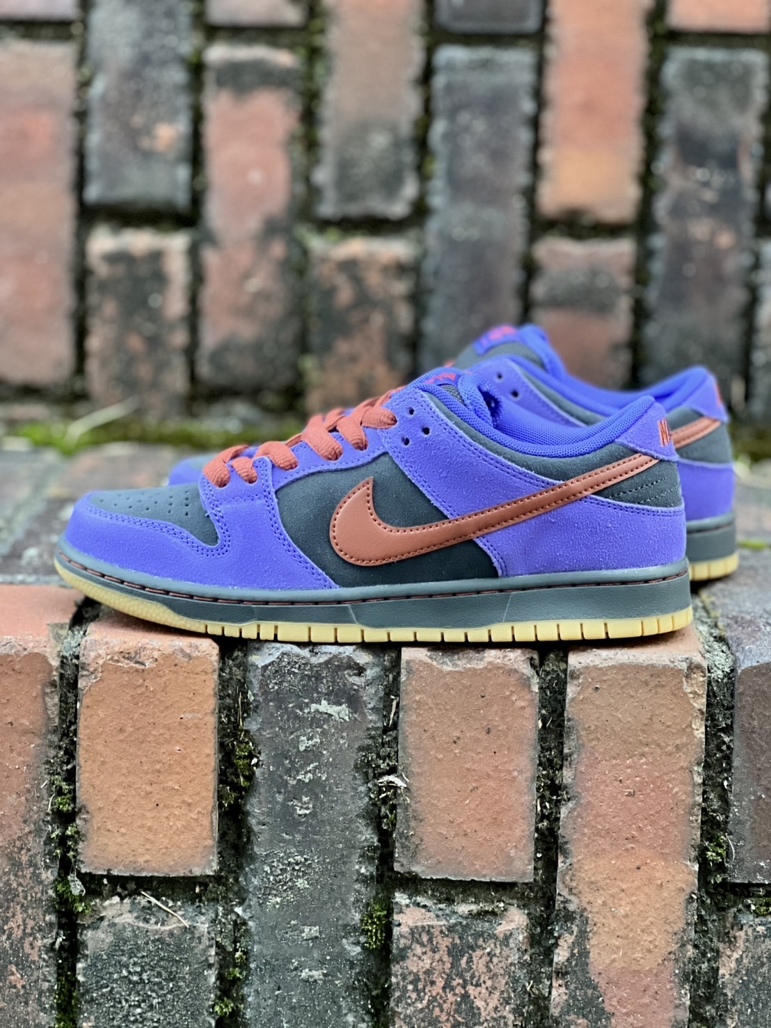 SiiiCK | Nike SB Dunk Low Pro “Persian Violet”