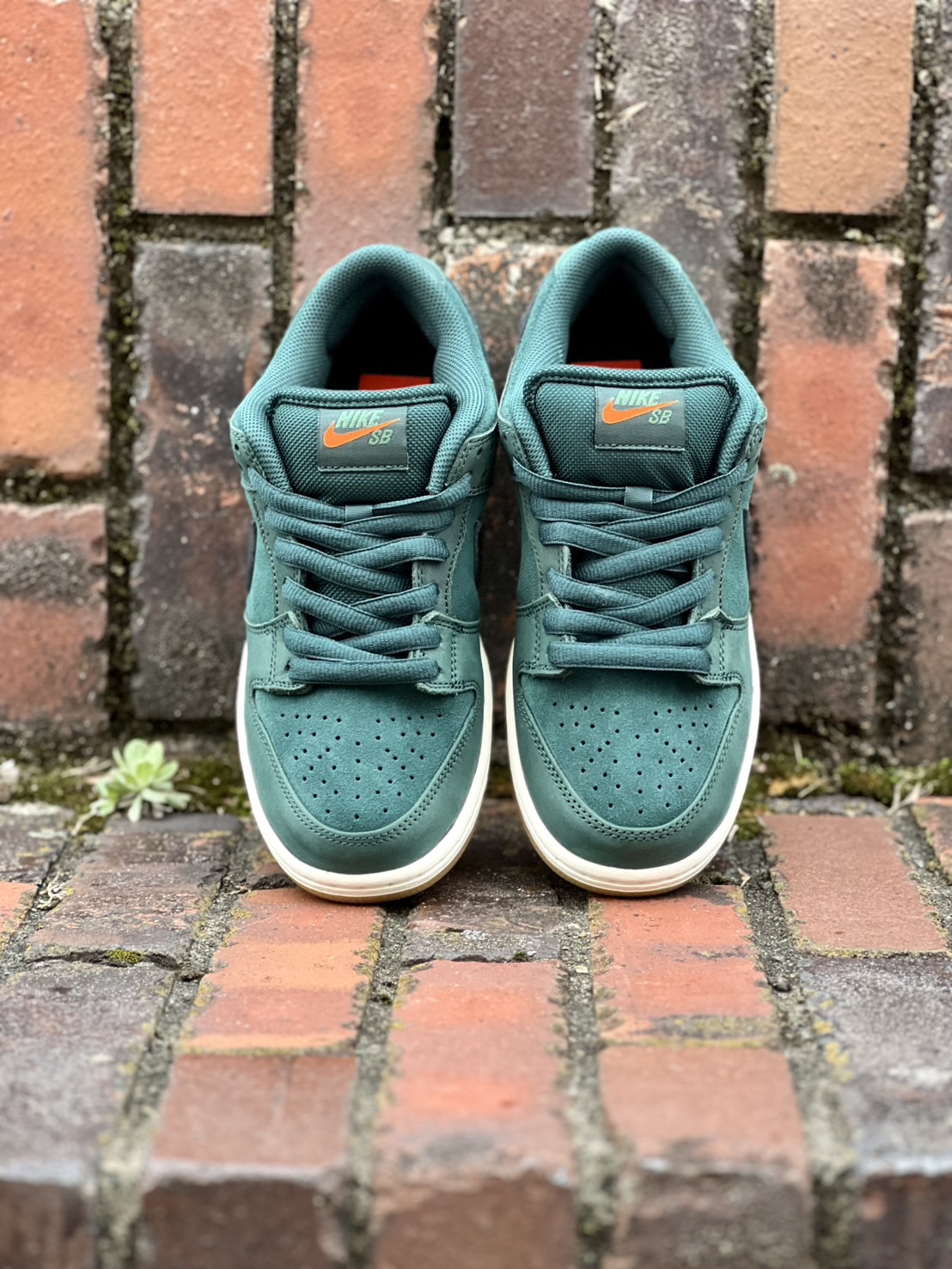 SiiiCK | スケートショップ限定｜Nike SB ISO “Deep Fir” コレクション